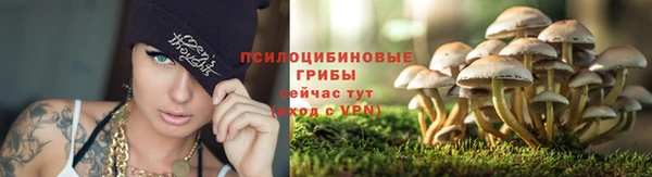 a pvp Горняк