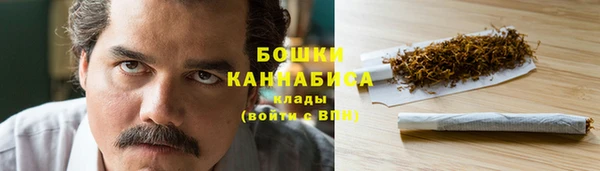 индика Тайга