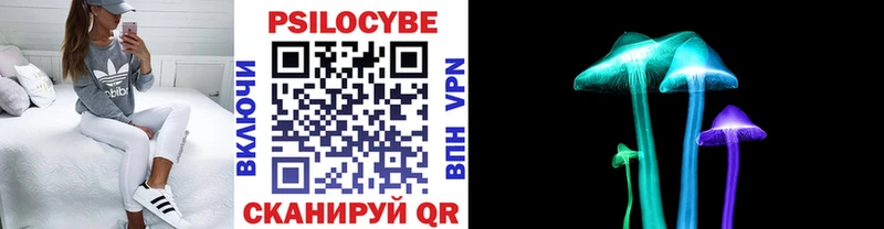 Псилоцибиновые грибы Psilocybe  shop какой сайт  Яблоновский  купить наркотик 